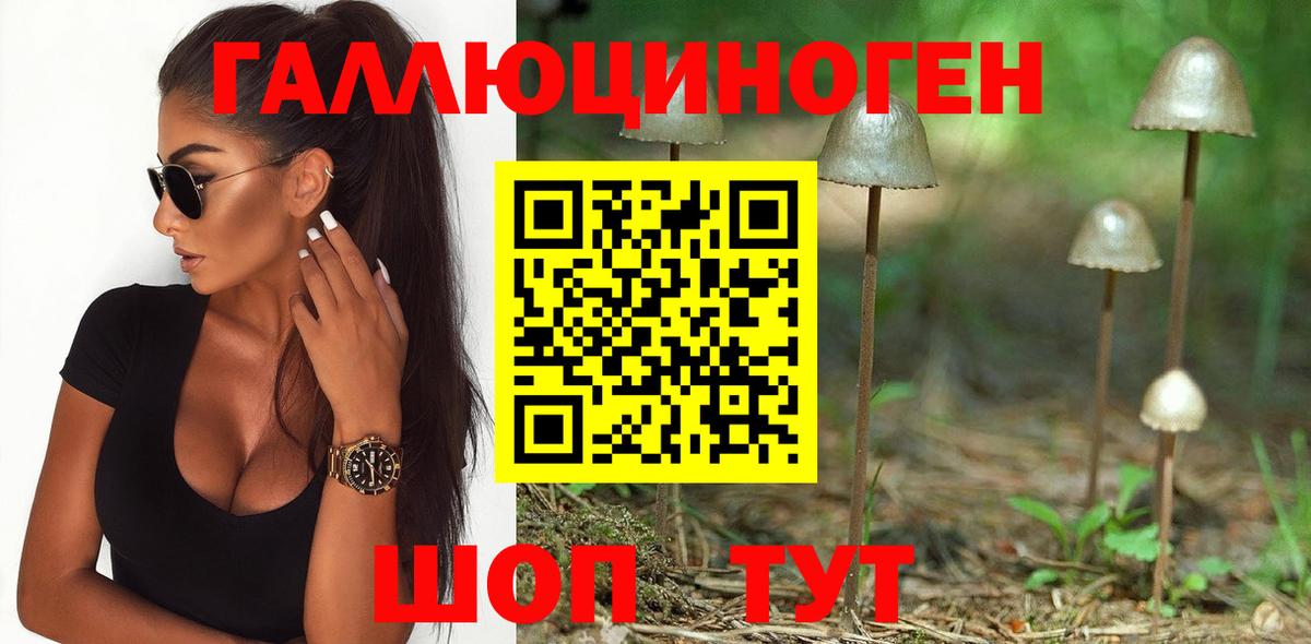 Галлюциногенные грибы ЛСД Кушва